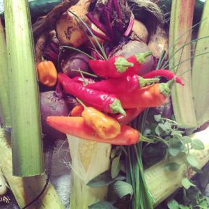 Grown by John Briggs.