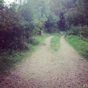 Goodbye Wheatley, I'm off down the Rabbit Hole.